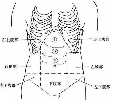 在診斷危重疾病和與腹部有關的疾病時非常重視腹診.