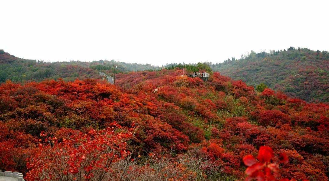 长寿山的秋景我心中最美的天堂