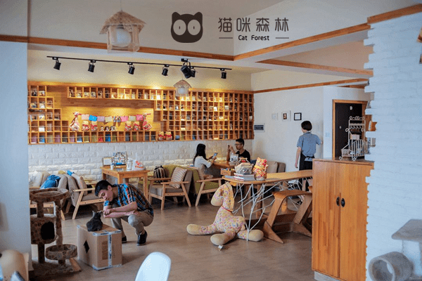 猫咪森林主题餐厅真的可以捕捉到消费者需求吗?