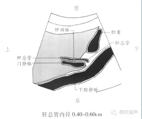 i-2-7肝總管縱切面1-2-6膽囊橫切面,包括右腎動脈1-2-5膽囊縱切面