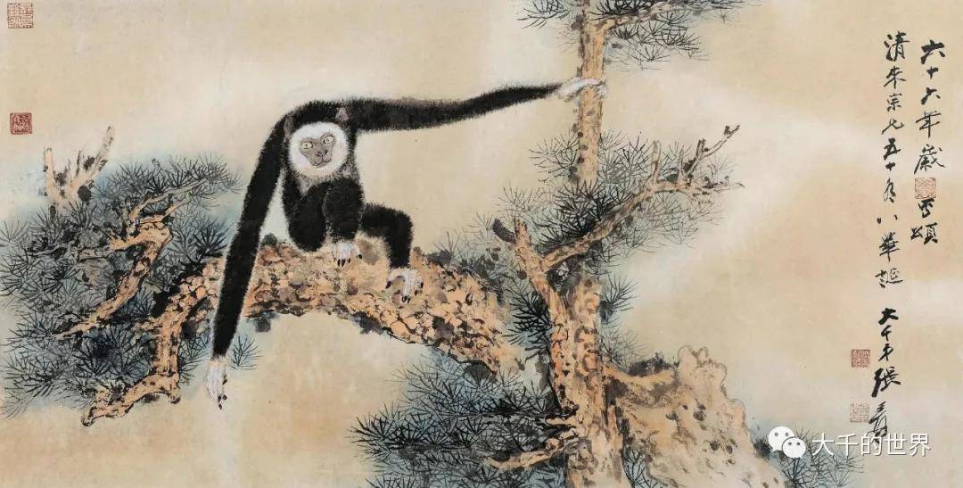 张大千:"黑猿转世,一生爱猿"