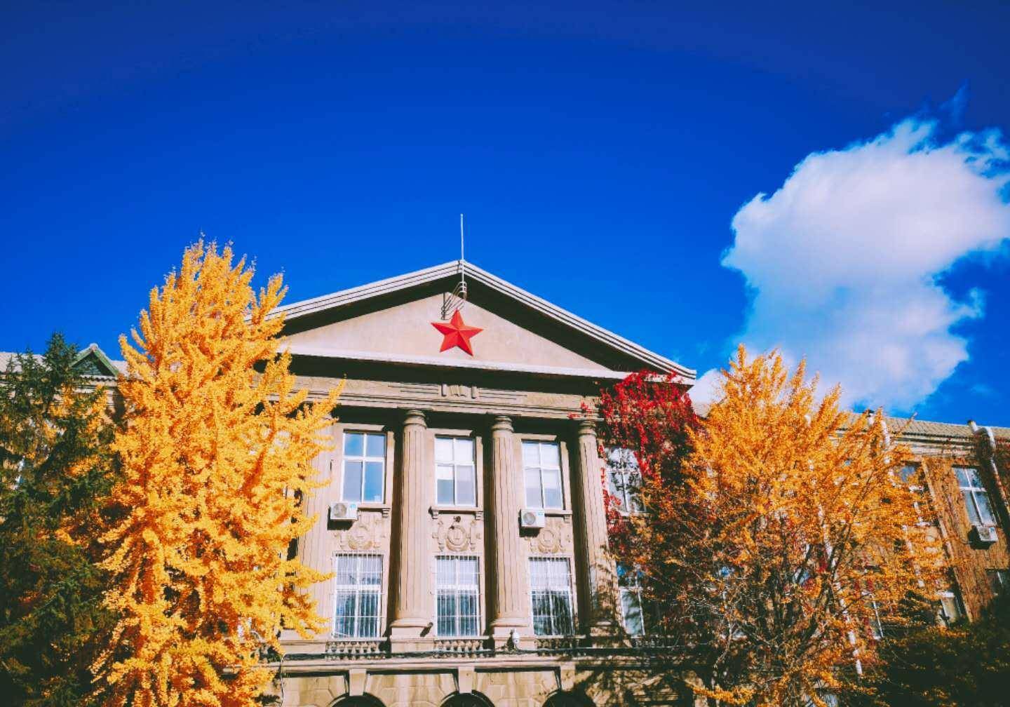 辽宁这所大学三百株银杏叶黄,成沈阳绝佳赏秋景点,今年却无游客_手机