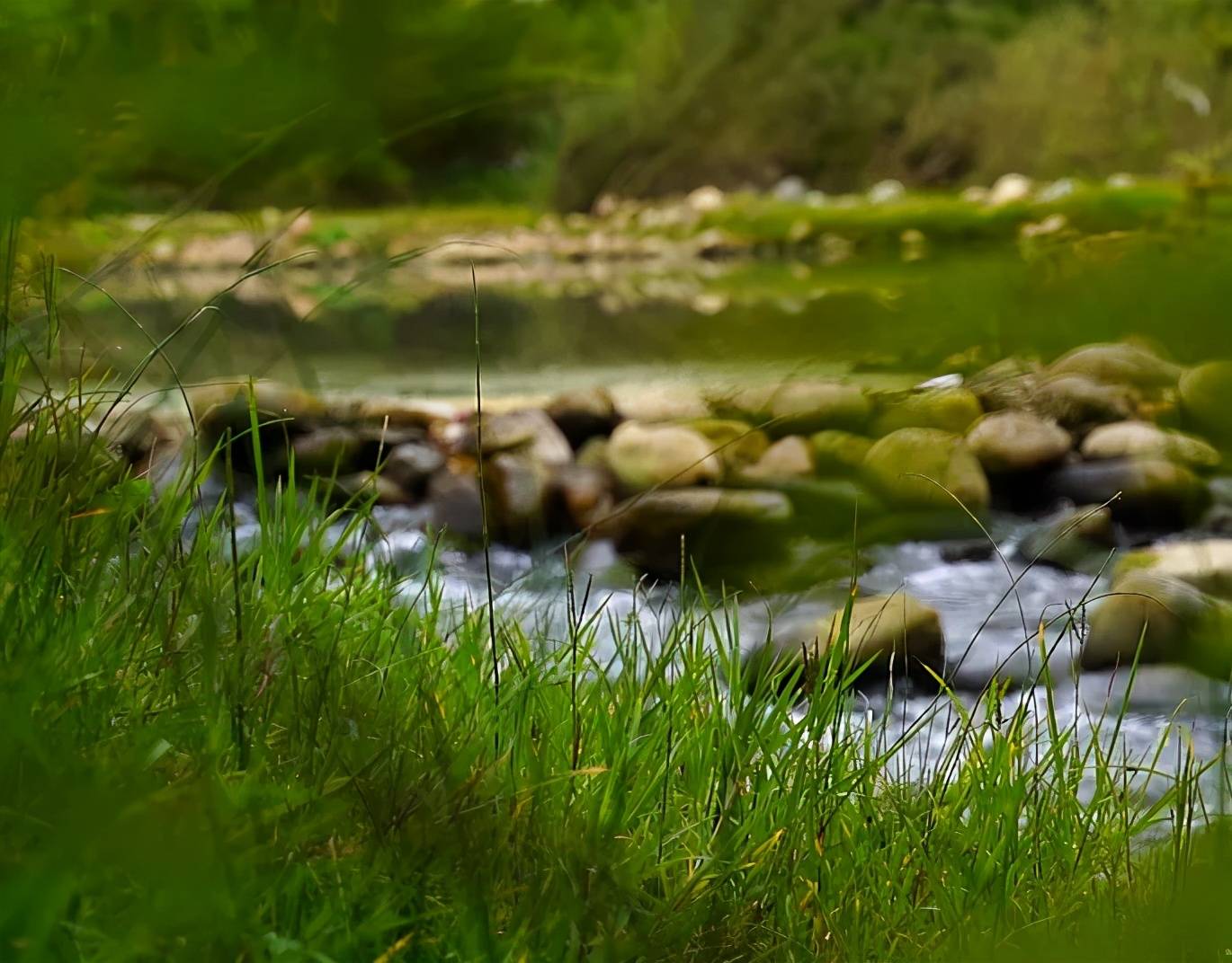 游·游仙 | 芙蓉溪岸赏美景,溪水如镜入我心