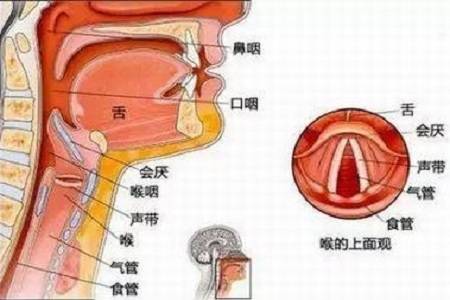 首大計成咽喉息肉一定要手術切除嗎