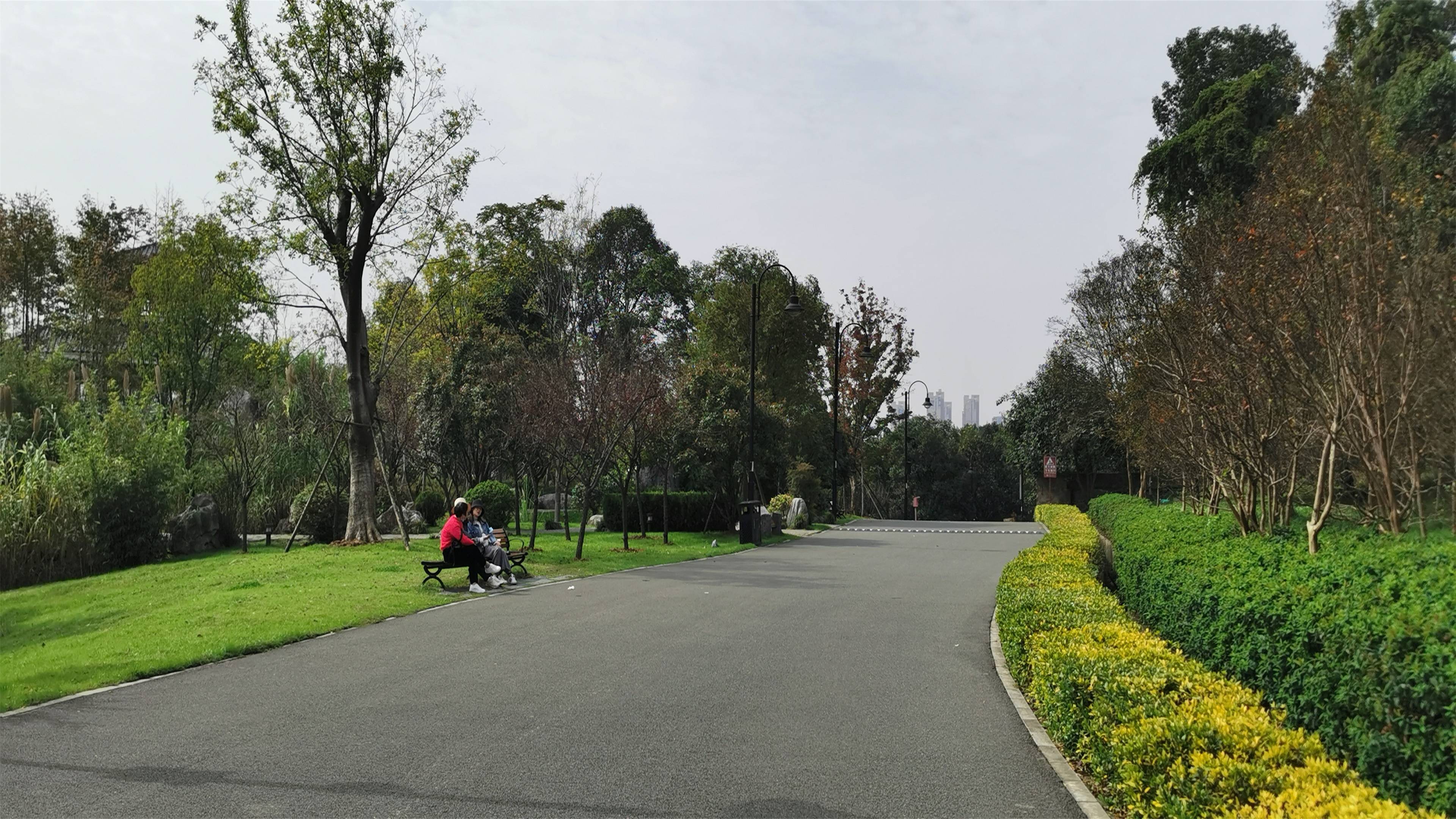 武汉马鞍山森林公园人们休闲散步好去处