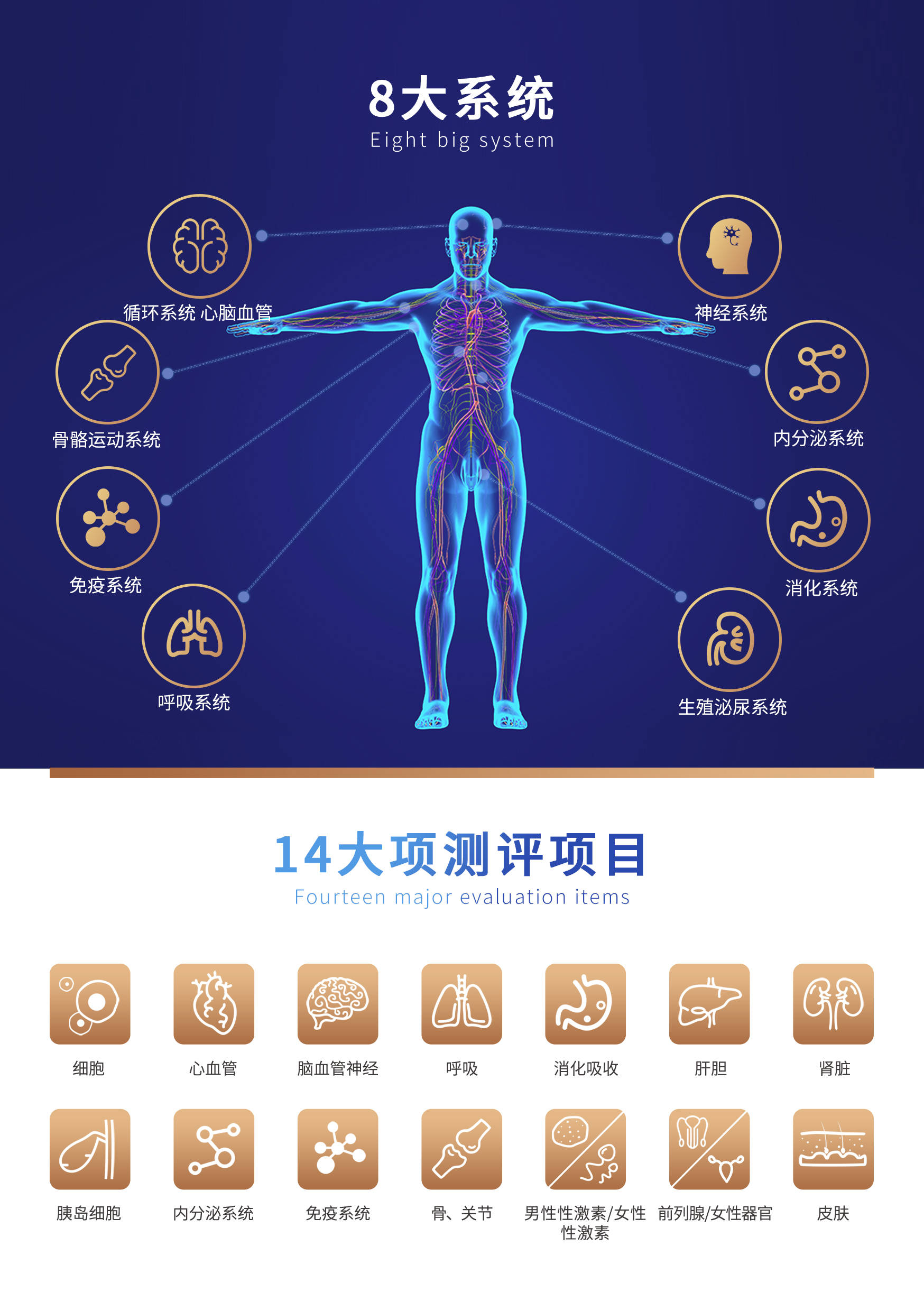 亮点| 硬科技范ai智能健康获赞高交会