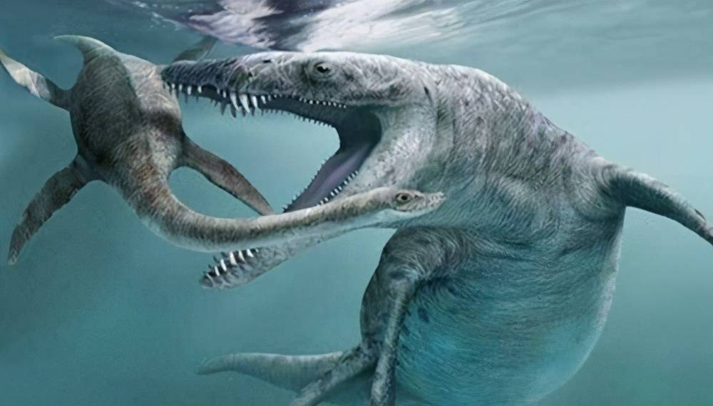 霸王龙和沧龙曾经是邻居,当它们相遇,会发生什么?