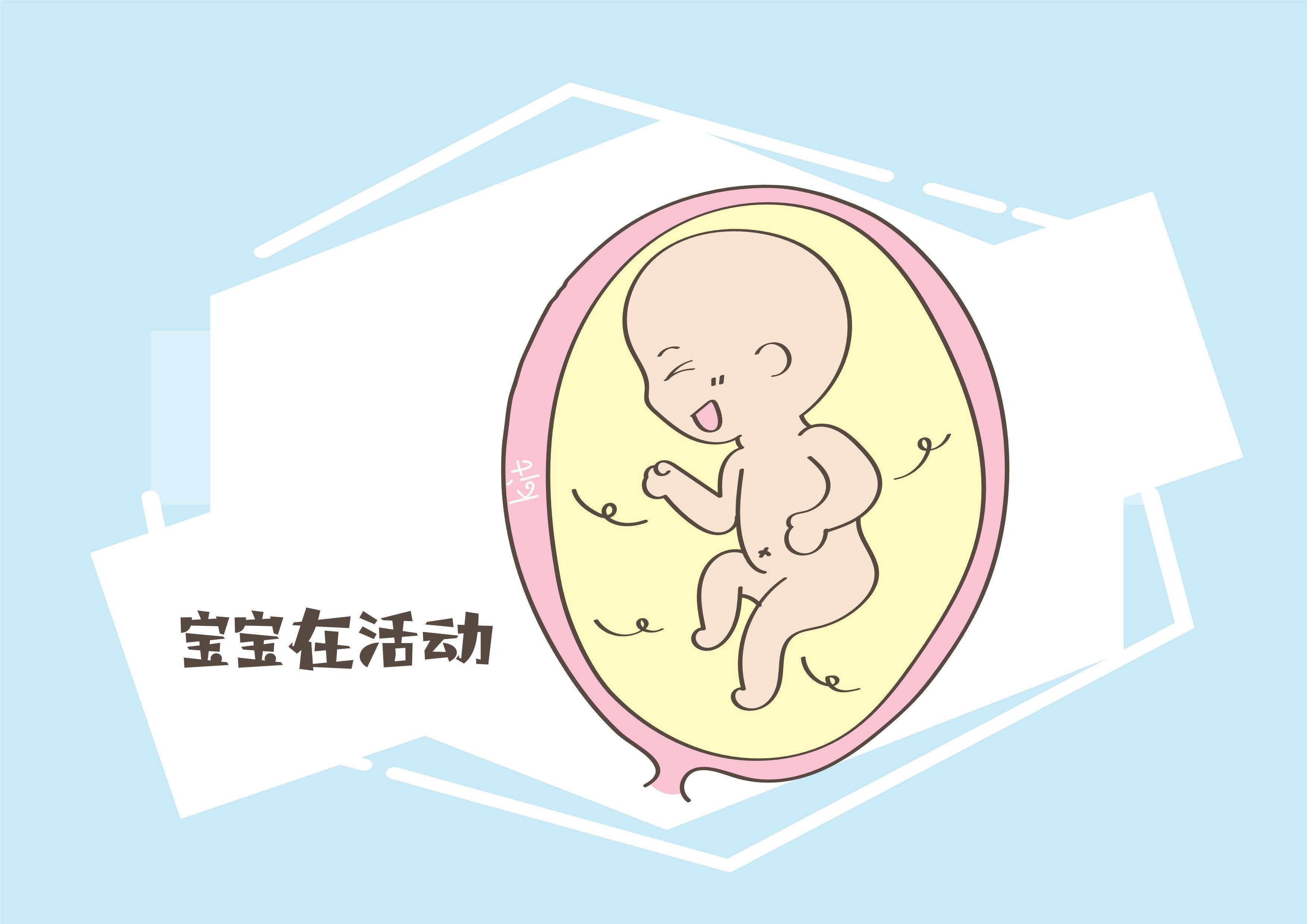 孕期胎儿在肚子里做什么孕妈想知道赶快偷偷了解一下