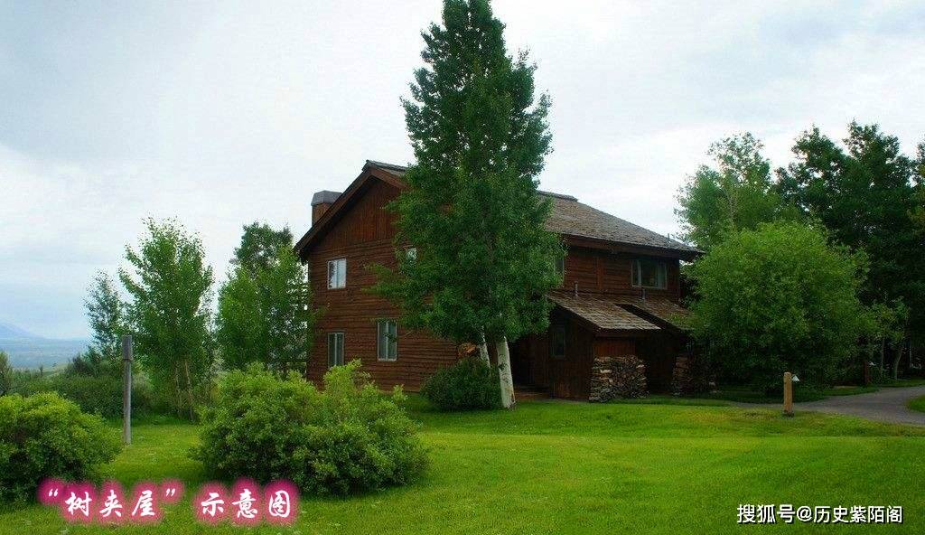 俗语"树夹屋,堂夹房,不败也得亡",老祖宗的讲究,有道理吗?