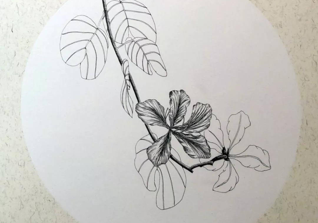 【推荐】手绘零基础怎么学|手绘教程初级自学(附手绘全套视频教程)_手