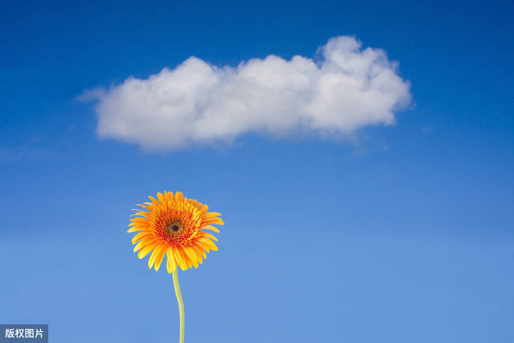 原创鼓励自己努力拼搏的句子适合发说说的句子