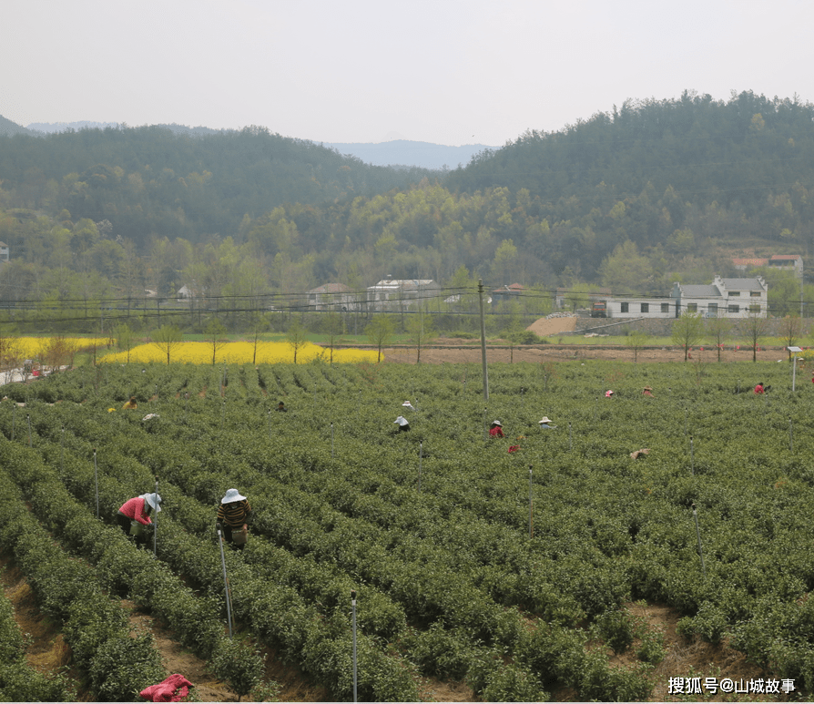 湖北英山文学讽喻家闻筱缉的故事