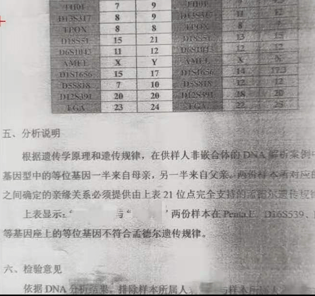 秘密访客亲子鉴定图片图片