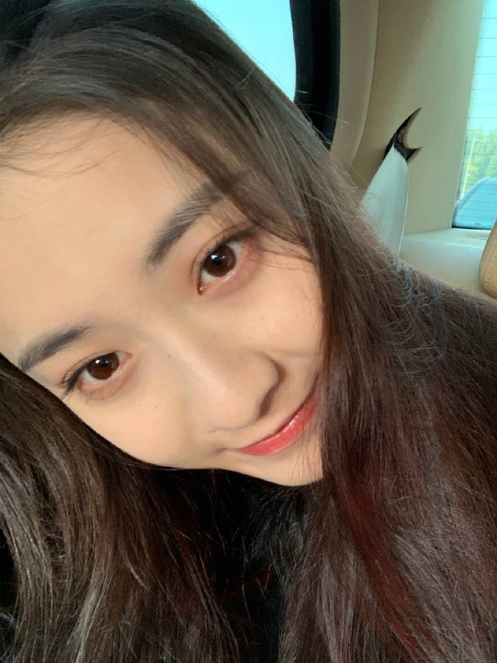 杨紫能否更胜一筹!
