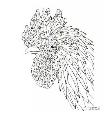 图文教程——鸡的工笔画法_步骤_羽毛_鸡冠