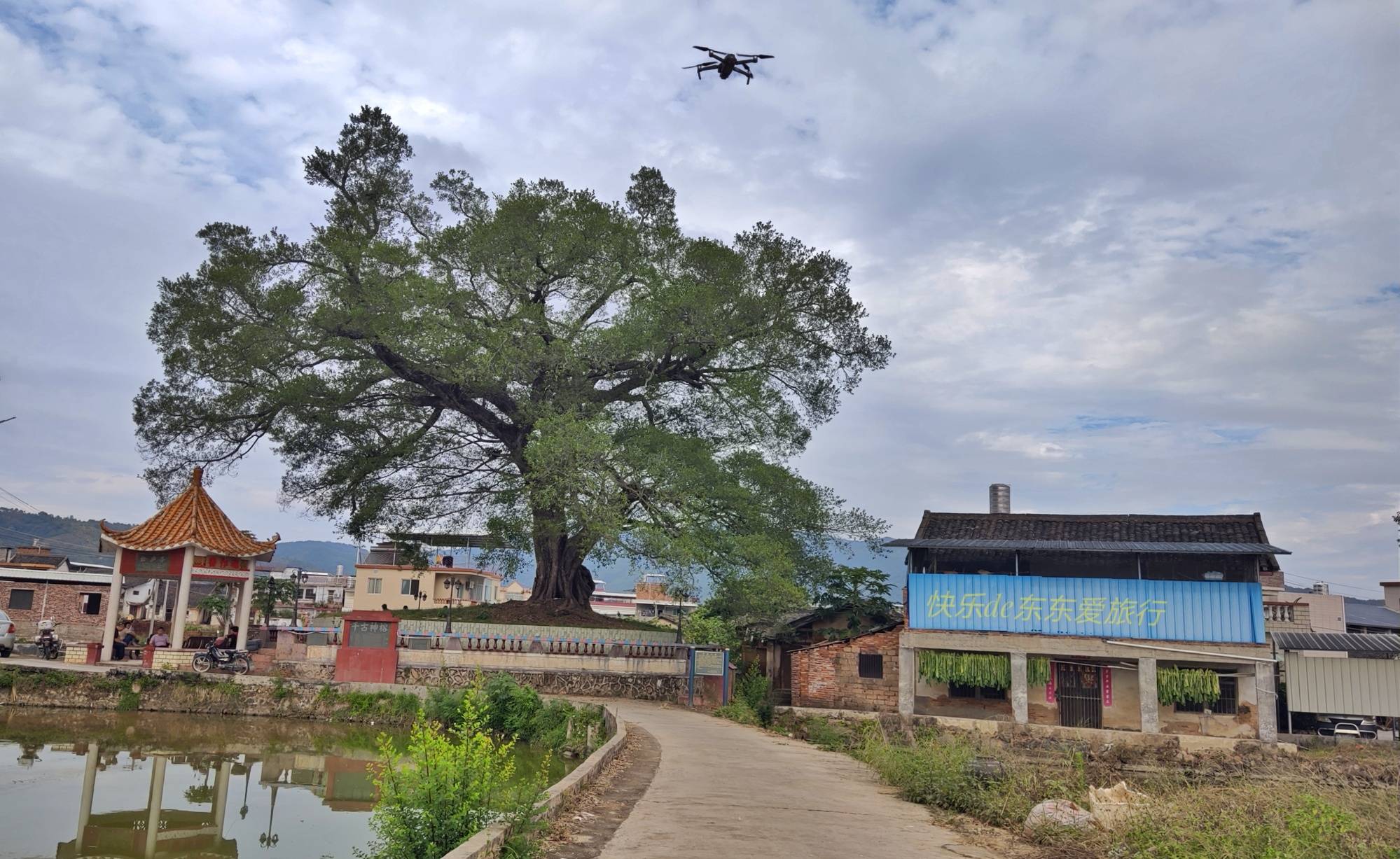 三进石扇镇调查咸菜制作中的秘密_手机搜狐网