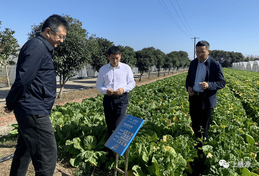 国家水利部沙棘开发管理中心主任赵东晓一行来我司考察指导