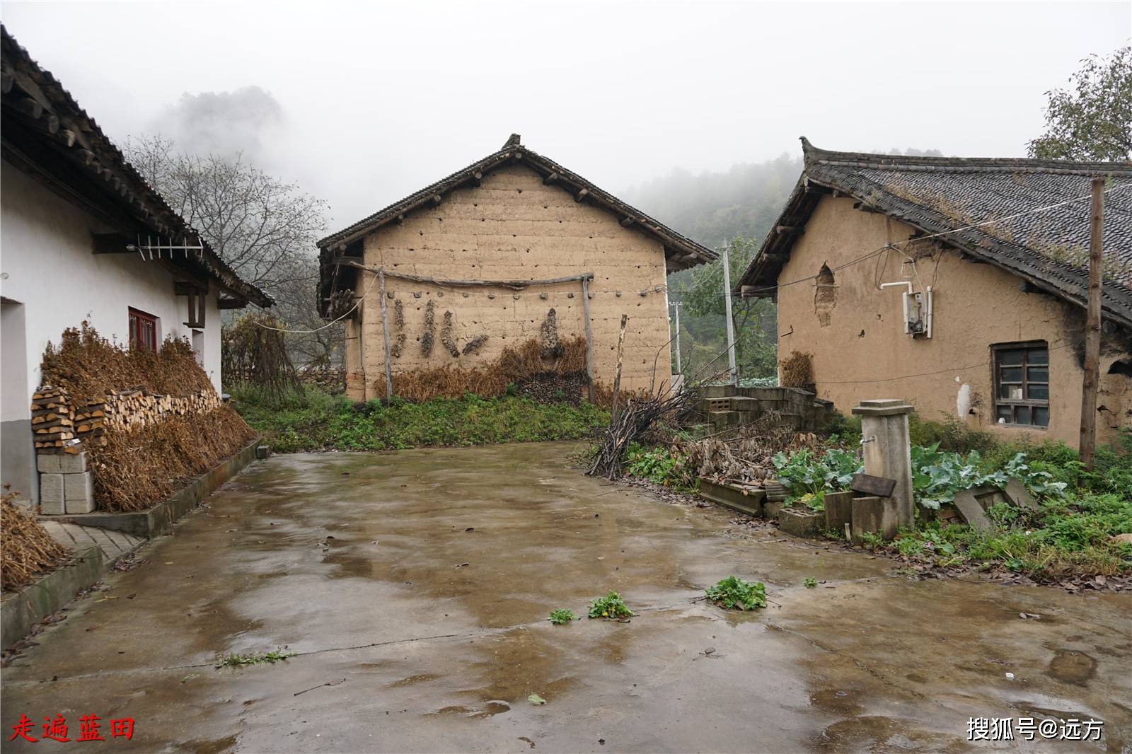 走遍蓝田,2020辋川镇(白岩沟村)穿越旅行(5)