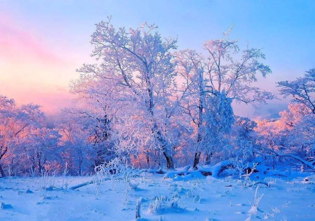 最好玩的雪,在东北雪乡