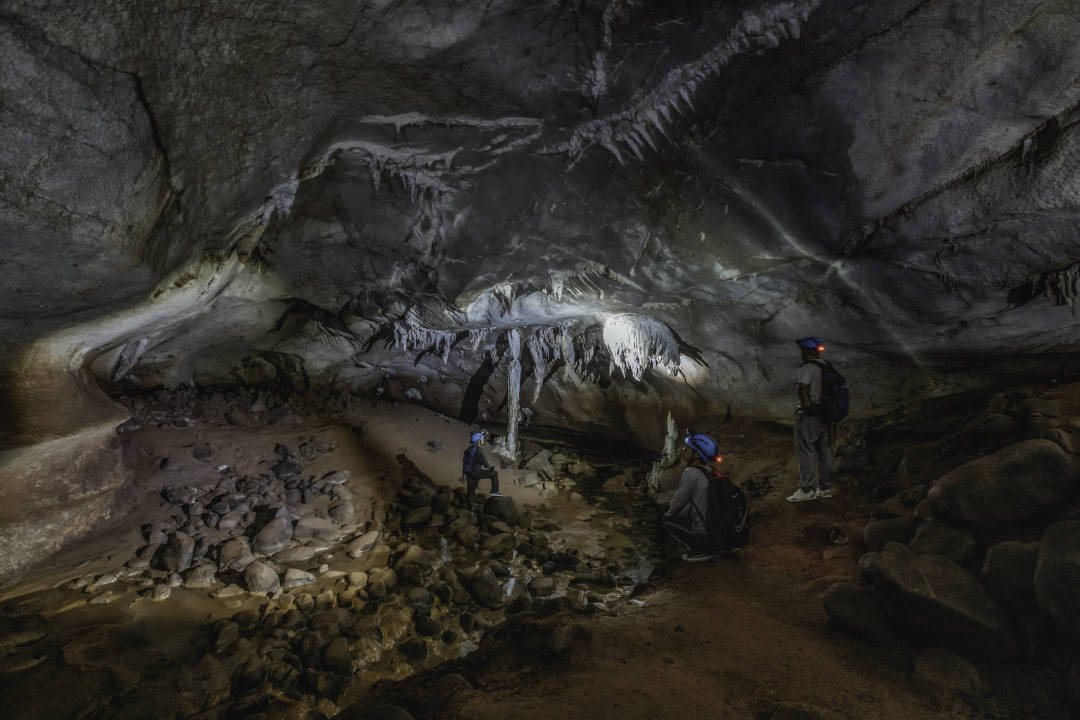 石灰山季雨林洞穴探险探寻亿万年洞穴寻找神秘生物