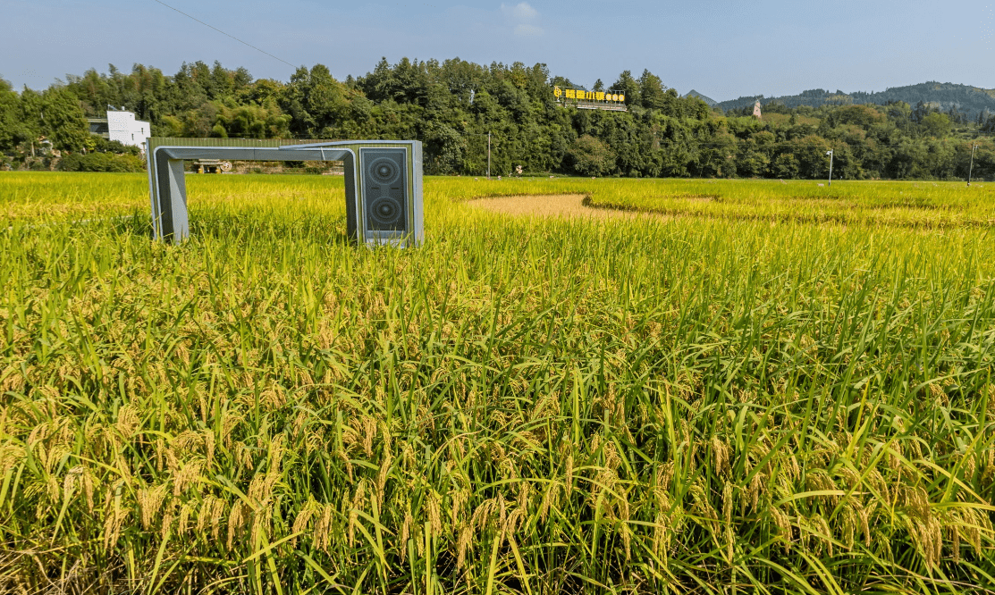 vr看基地:大同稻香小镇_手机搜狐网