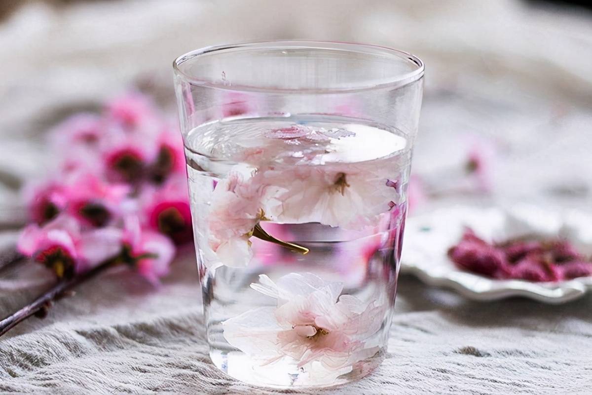 阳春三月桃花鲜,怎么正确的冲泡桃花茶?