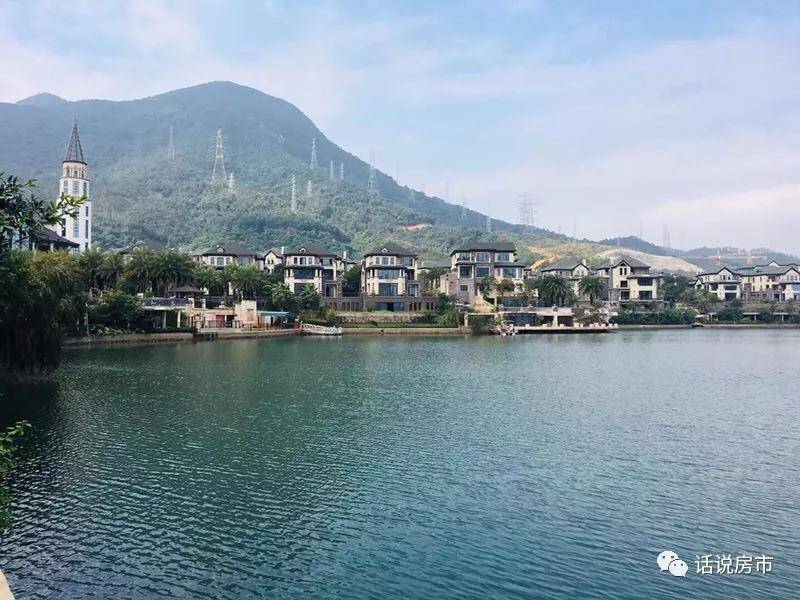 东莞长安莲湖山庄别墅最新房价曝光了