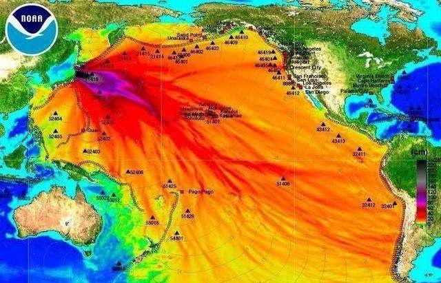 瑞典农民穿着防辐射服转移受污染的饲料我们回到切尔诺贝利核事故现场