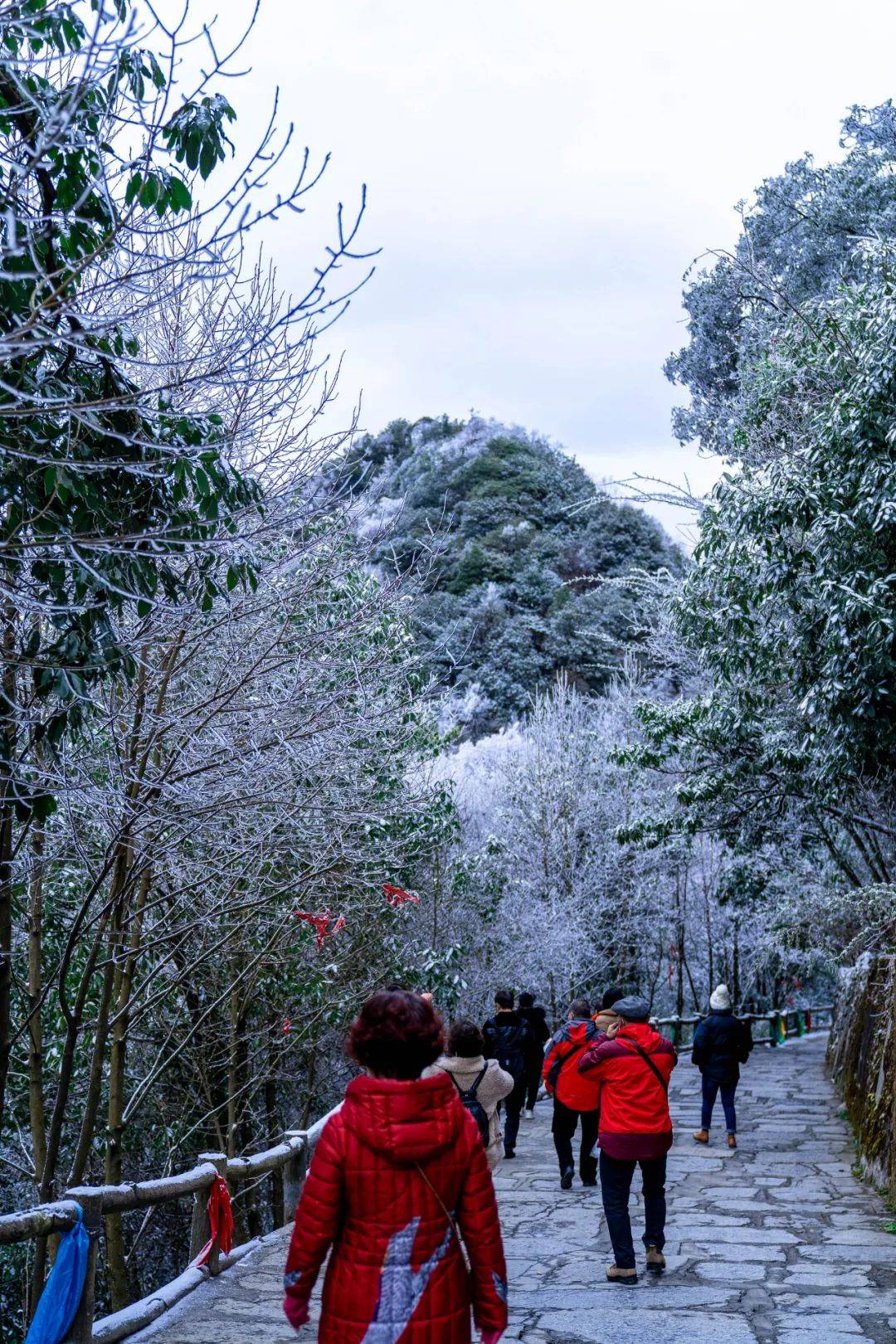 雪,是九皇山冬日的童趣