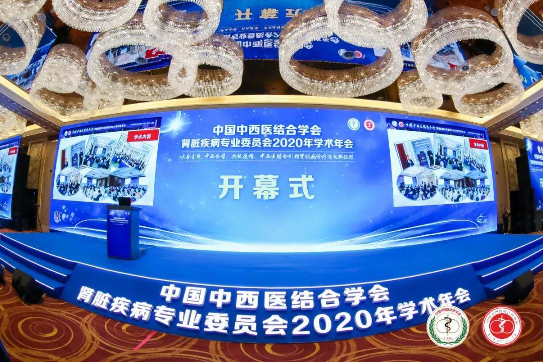 我院王铁民院长应邀参加中国中西医结合学会肾病专业委员会2020年学术