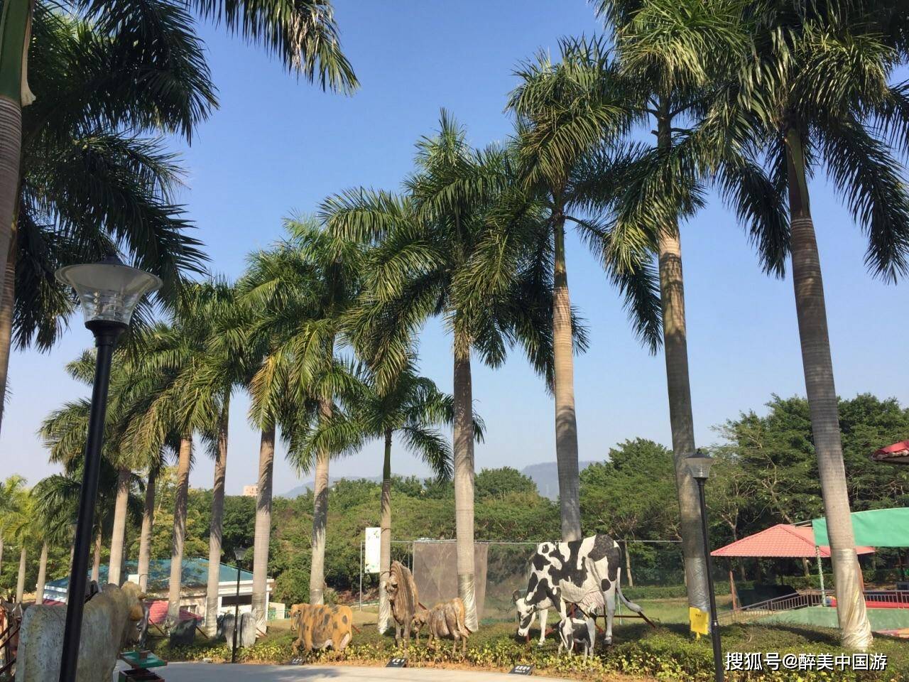 探访光明农场大观园,小朋友游玩的天堂,距深圳市中心仅26公里