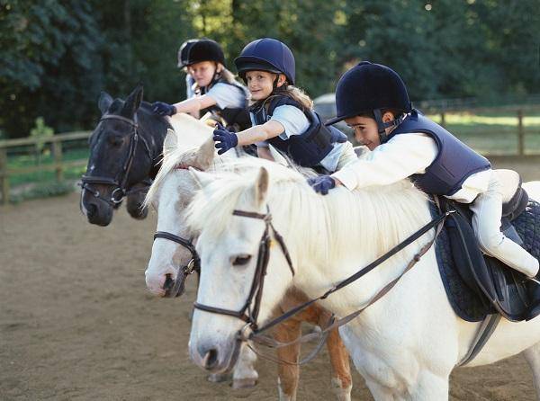 初学骑马者如何正确的掌握上马步骤