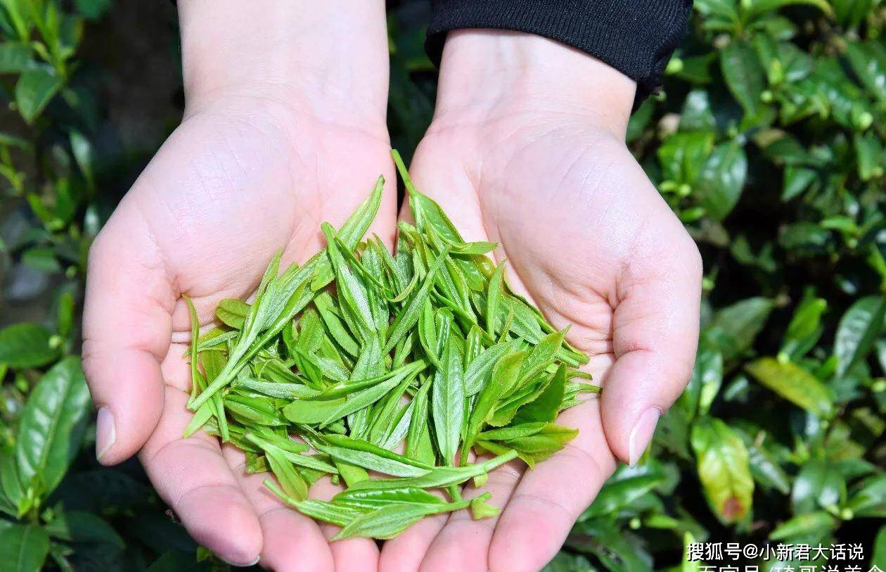 泾县兰香茶:大山深处的美景-搜狐大视野-搜狐新闻