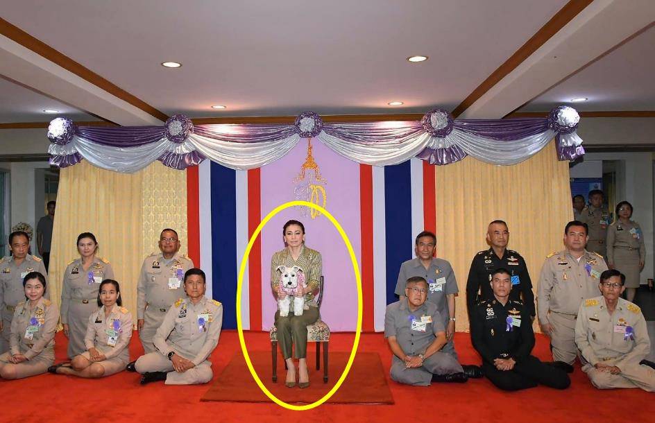 玛哈·哇集拉隆功做的荒唐事不少,最让人无法理解的就是爱狗如命,甚至