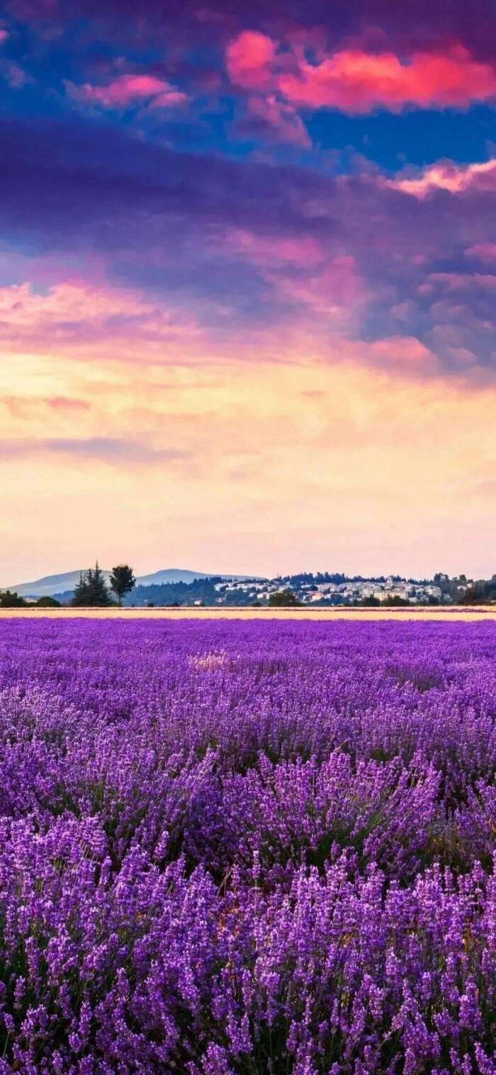 如梦似幻摄人心魄欧泊紫