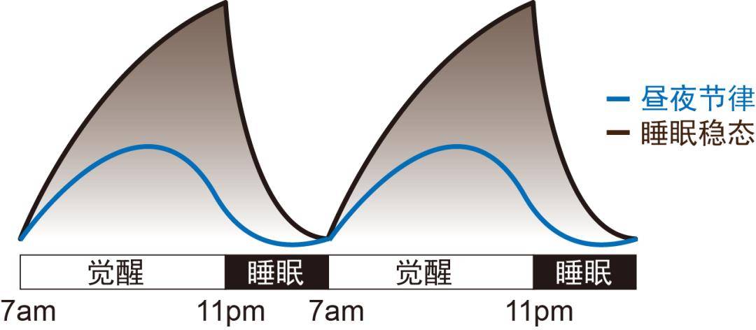 "没睡好"就是得病了吗?夜然舒教你认识7类睡眠障碍