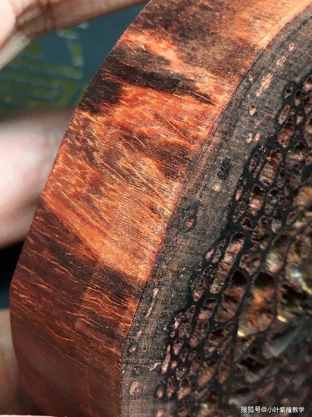 你见过这种蜂窝状的小叶紫檀树心料吗?