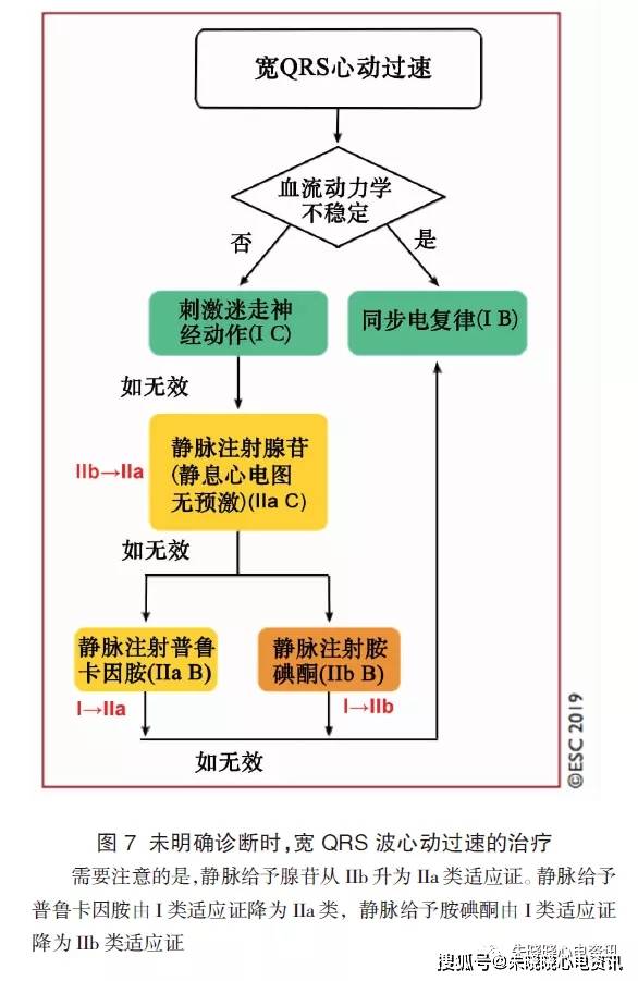esc 成人室上速管理指南,你掌握了吗?
