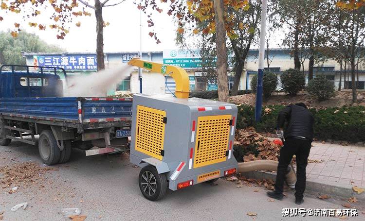 用什么清扫树叶最快_落叶