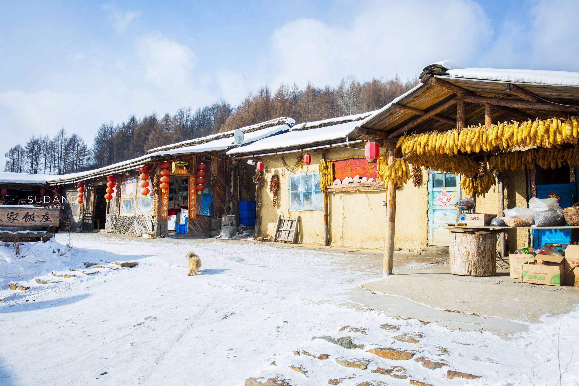 原创雪乡不是东北唯一的网红村落,还有它,堪称中国最后一个木屋村落