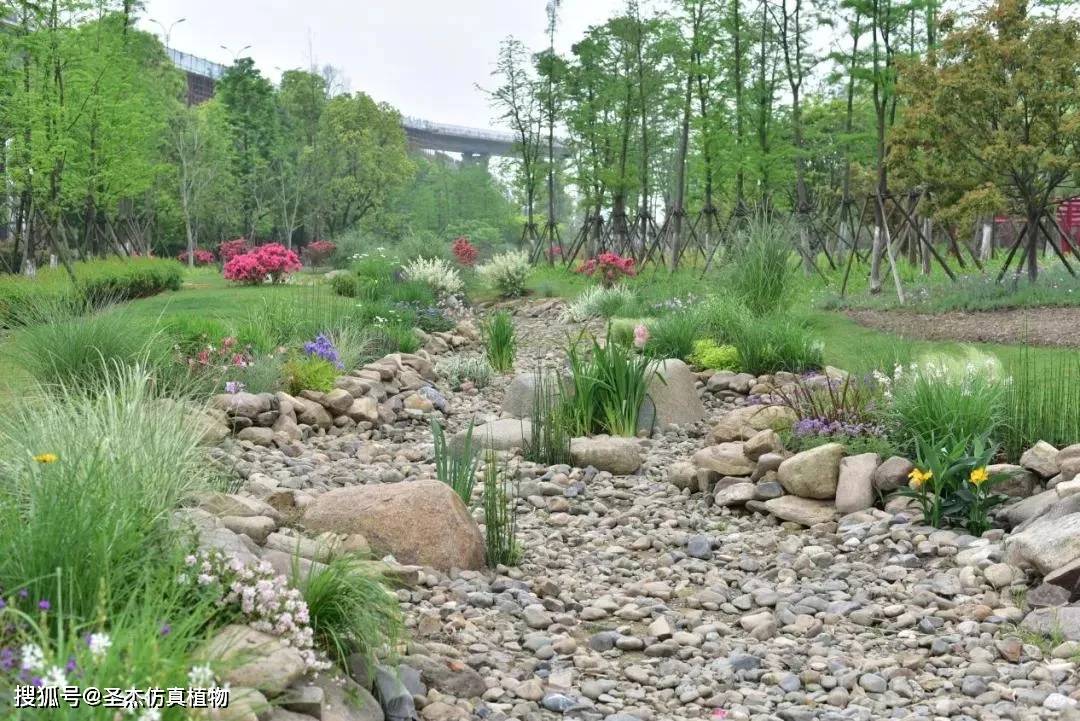 殊不知"无相"的旱溪,胜却人间无数!_手机搜狐网