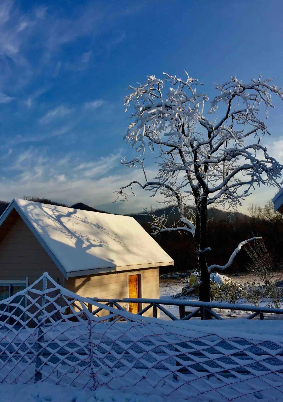 (白云小镇冰雪乐园实景拍摄)当夜色洒满整个天空的帷幕,树梢上挂着一