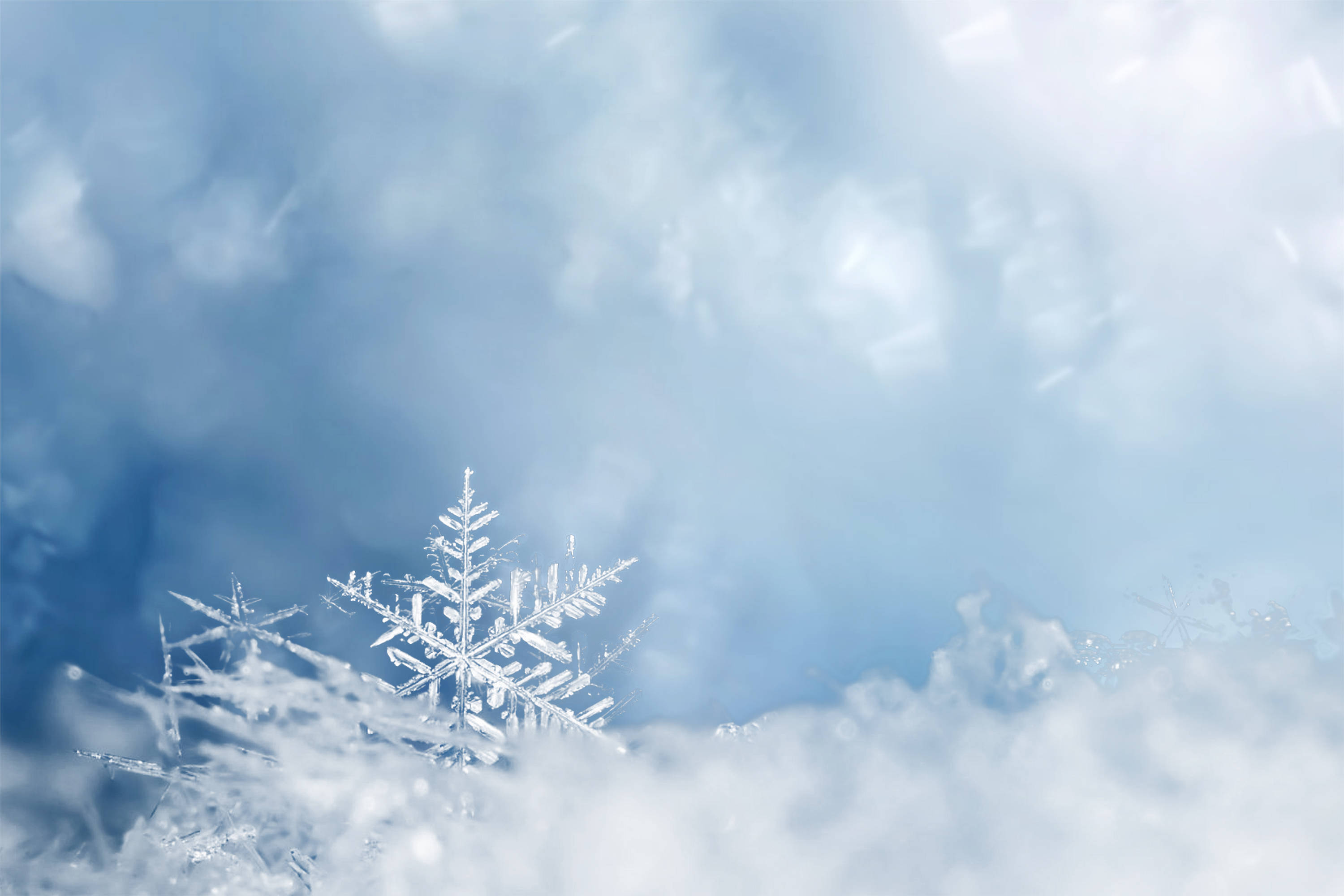 大雪节气低温来 保暖进补如何做_时节