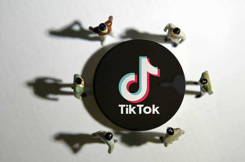 TikTok Creator Campaign: How To Manage 100+ Creator Collaborations At Scale