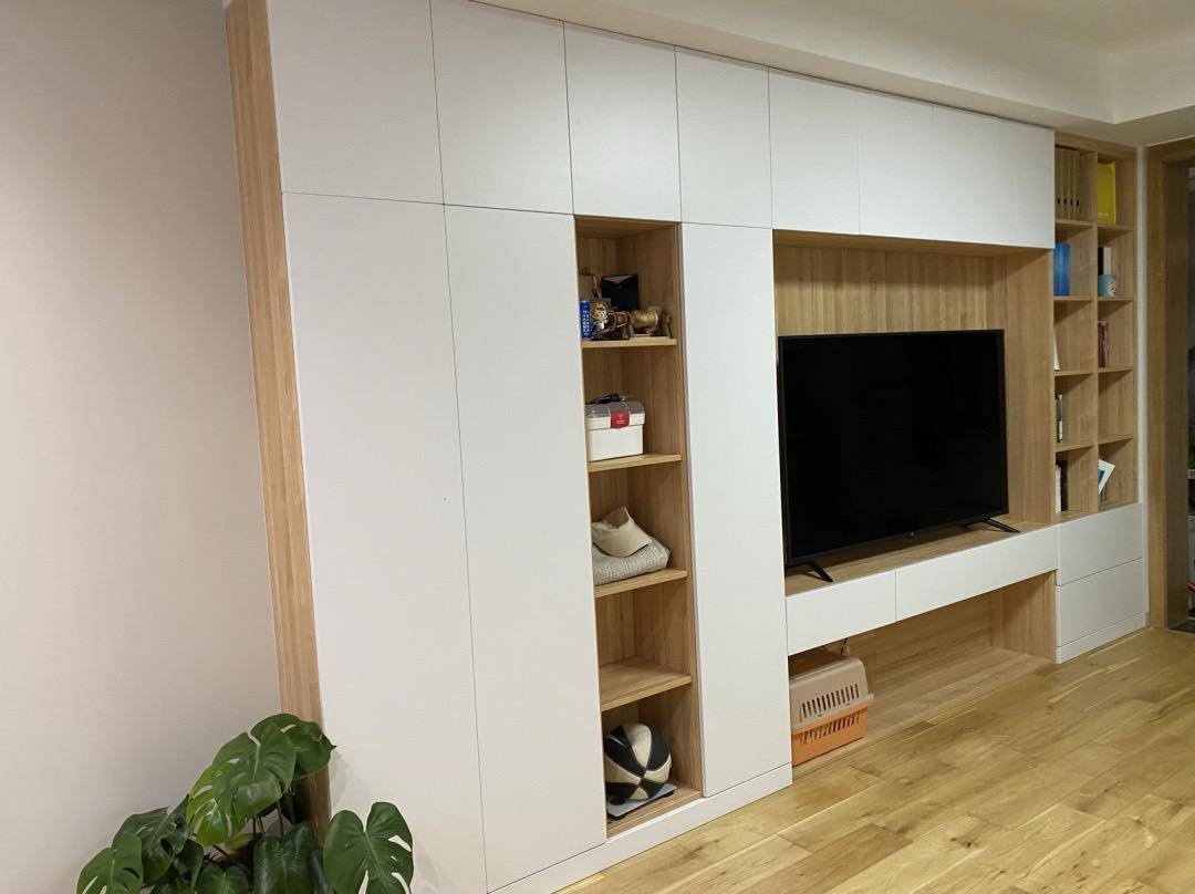 顶天立地电视柜 书柜,小户型必需get!