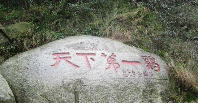 北戴河,莫干山并称中国四大避暑胜地,蒋介石及其夫人宋美龄曾在此休闲