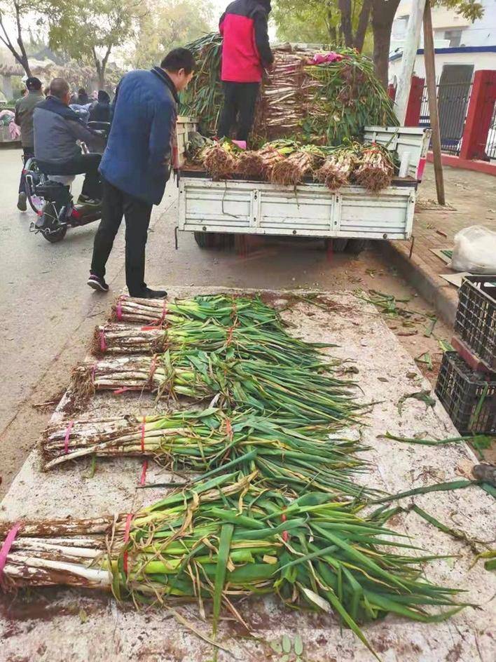 葱姜价格有些高调
