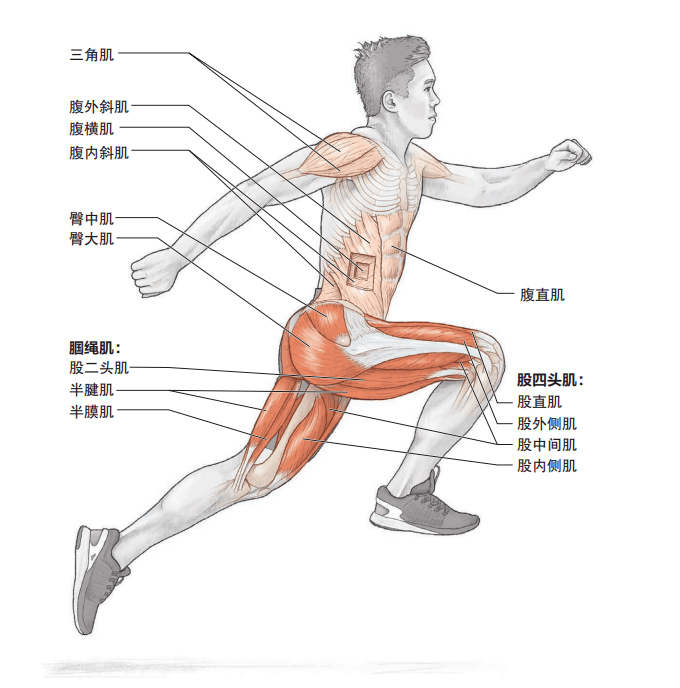 6个基础跳跃动作练习增强腿部爆发力助你跑得更快