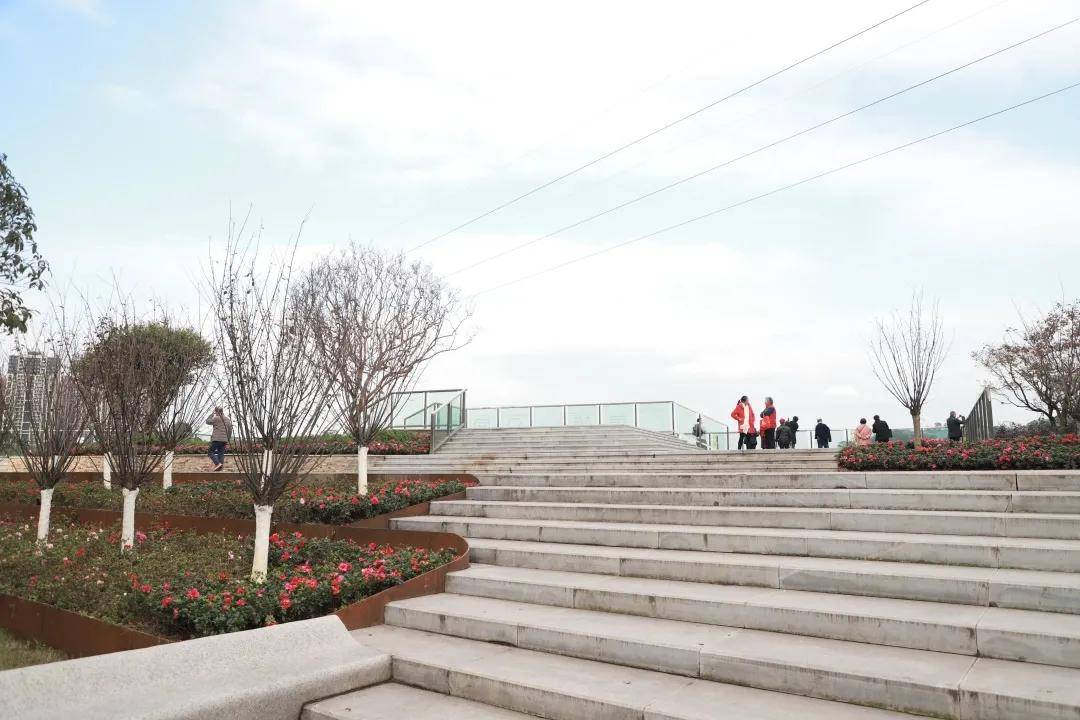 2019年11月,黄桷湾游步公园建成投用,周围很多居民都闻讯赶来,想要