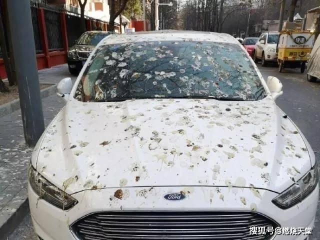 故宫为何屋顶没有鸟屎?是皇威难测吗?